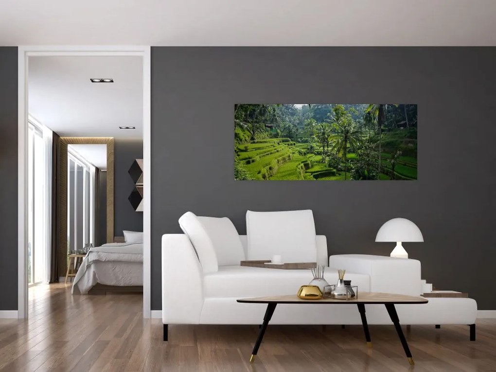 Tablou cu terasele cu orez Tegalalang, Bali (120x50 cm)