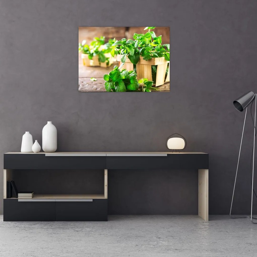 Tablou pe sticlă cu menta proaspătă (70x50 cm)