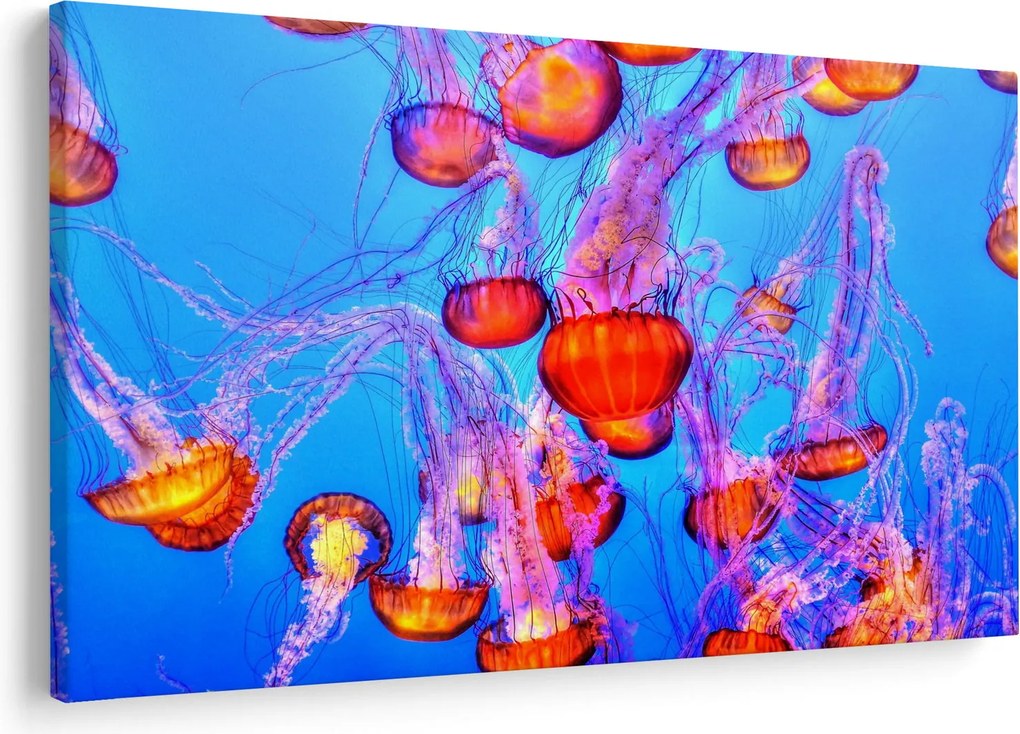 Tablou cu meduse în mare (90x60 cm)