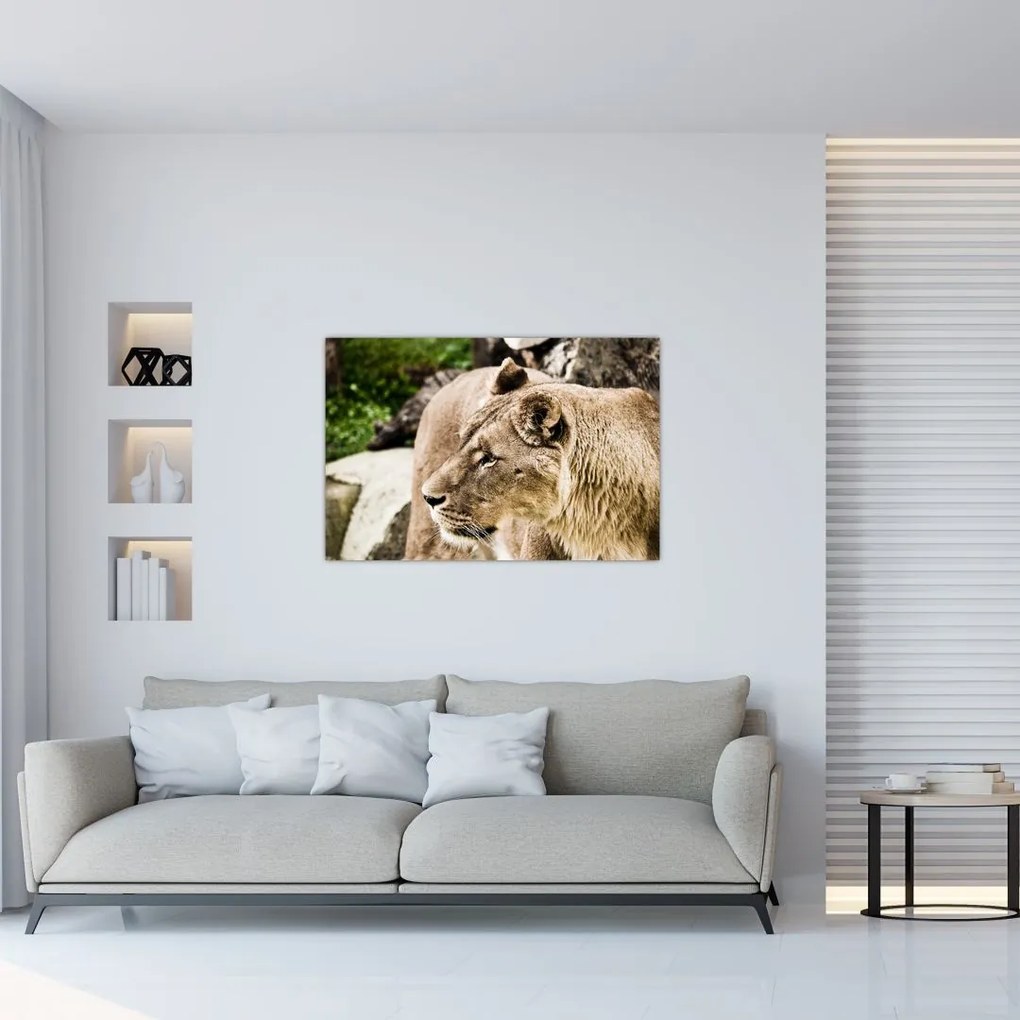 Tablou cu leoaică (90x60 cm)