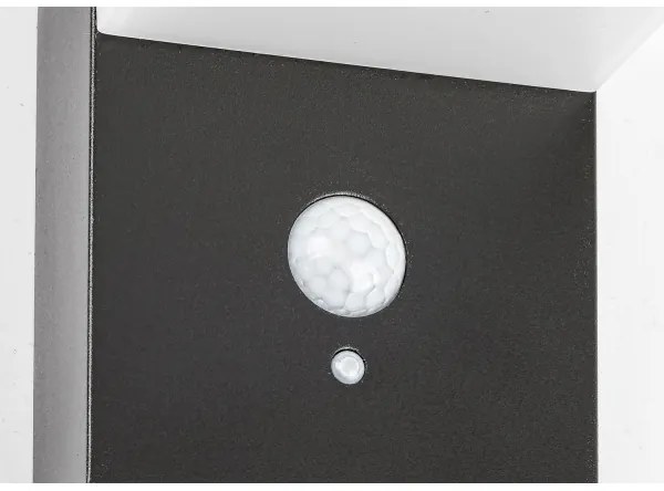 Rabalux 77009 - Lampă solară LED ZREBAR cu senzor LED/6W/3,7V IP44