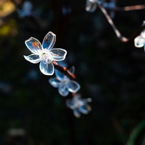 Corp de iluminat LED RGBW TREE LED/0,1W/1,2V 600 mAh IP44 maro