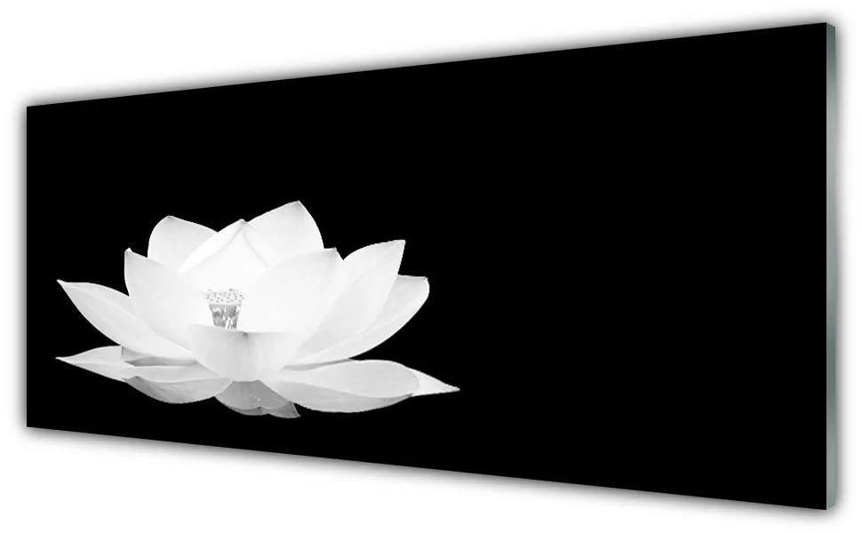 Tablouri acrilice Florale flori albe
