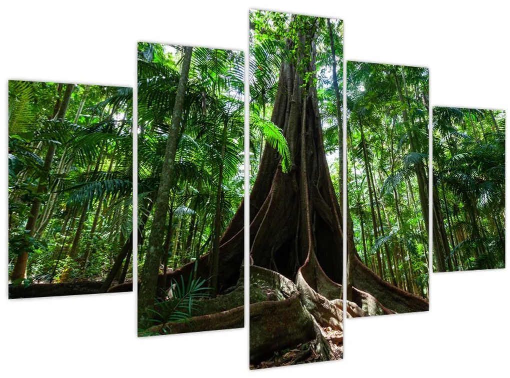 Tablou - Rădăcinile copacului (150x105 cm)