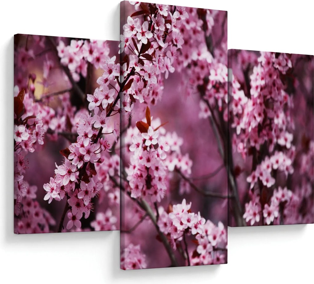 Tablou - Sakura roz (90x60 cm)