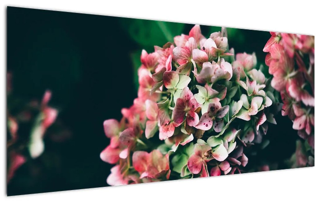 Tablou - Hortensie (120x50 cm)