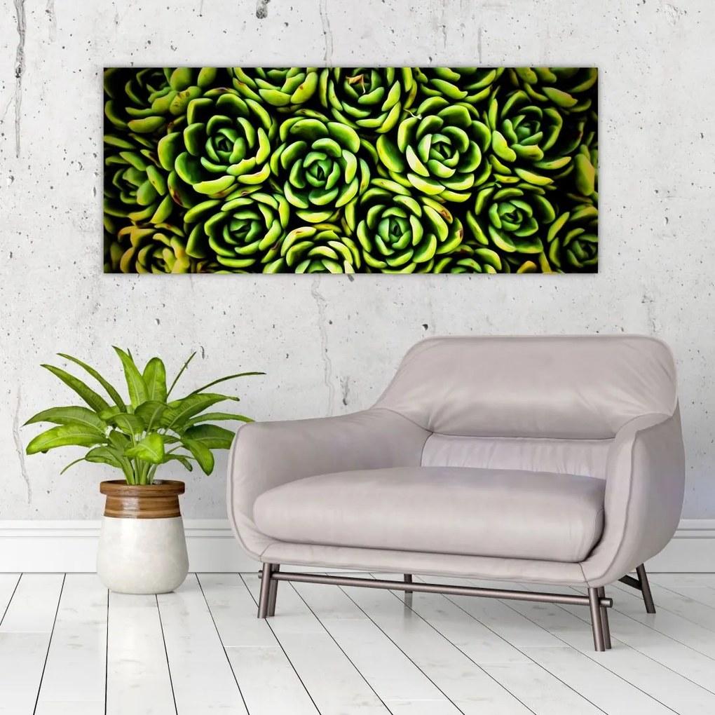 Tablou cu flori de piatră (120x50 cm)