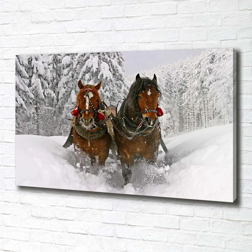 Tablou canvas Kulig