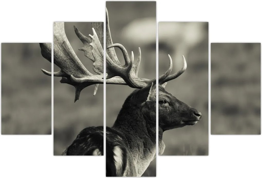 Tablou - Cerb (150x105 cm)