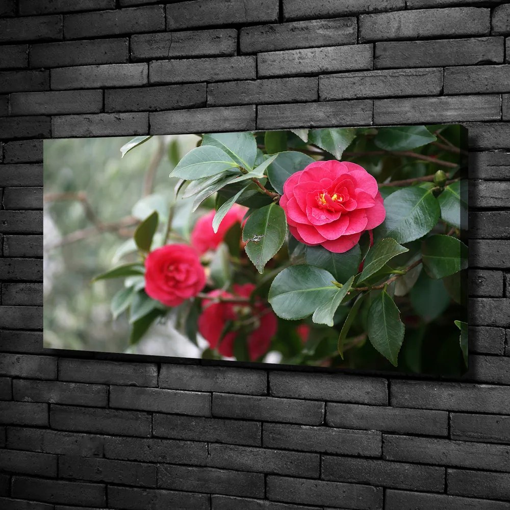 Pictură pe pânză Camelia