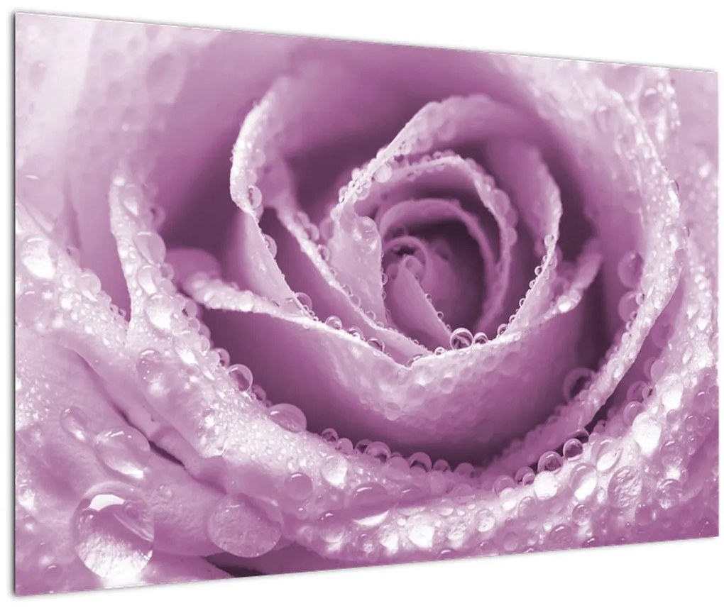 Tablou detaliu de floare de trandafir (90x60 cm)