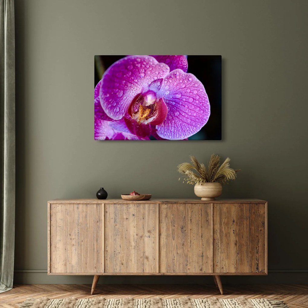 Tablou detailat cu floare de orhidee (90x60 cm)