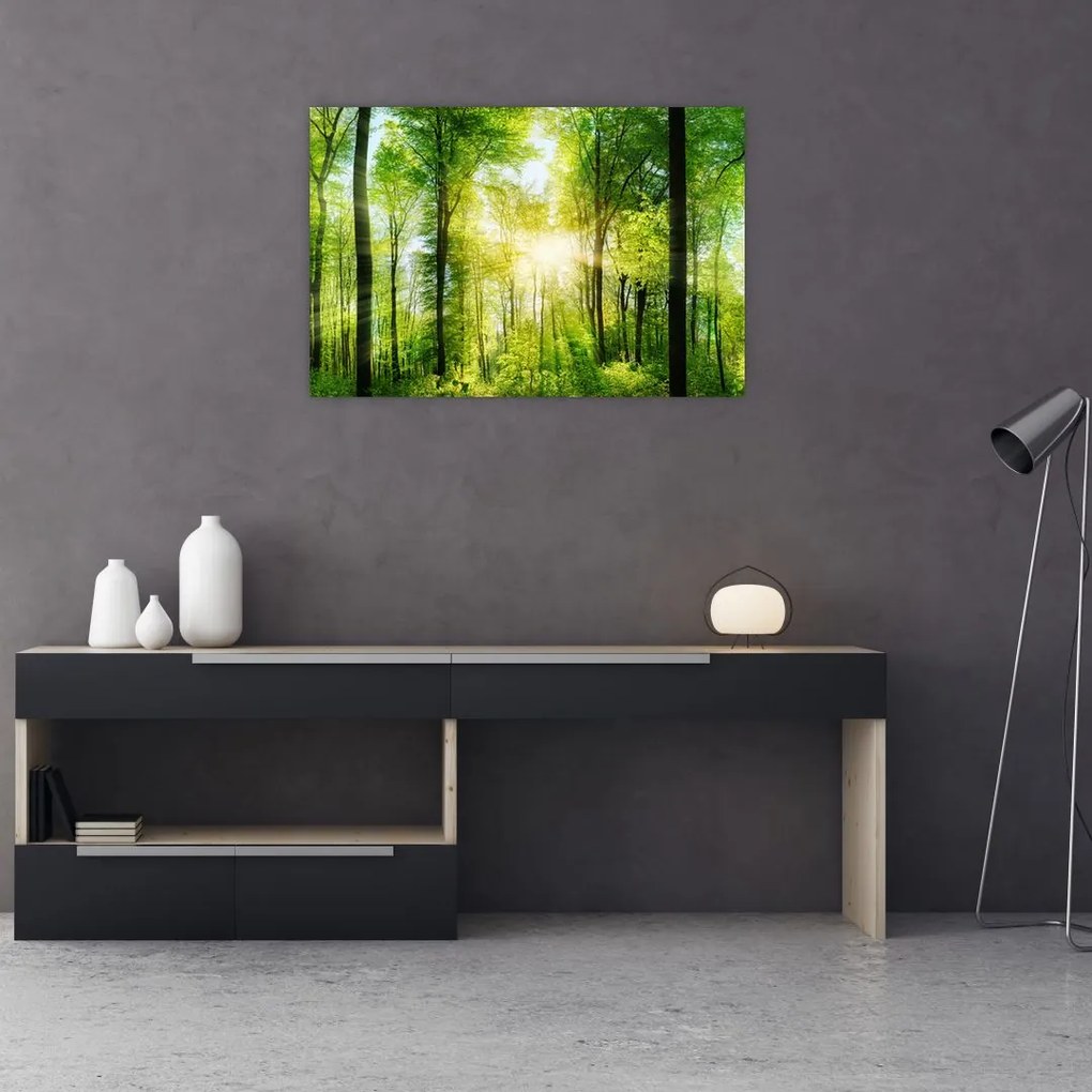 Tablou - Răsărit în pădure (90x60 cm)