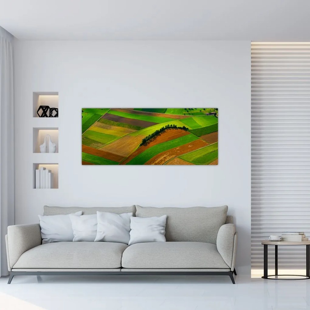 Tablou - Lan, luncile (120x50 cm), în 40 de alte dimensiuni noi