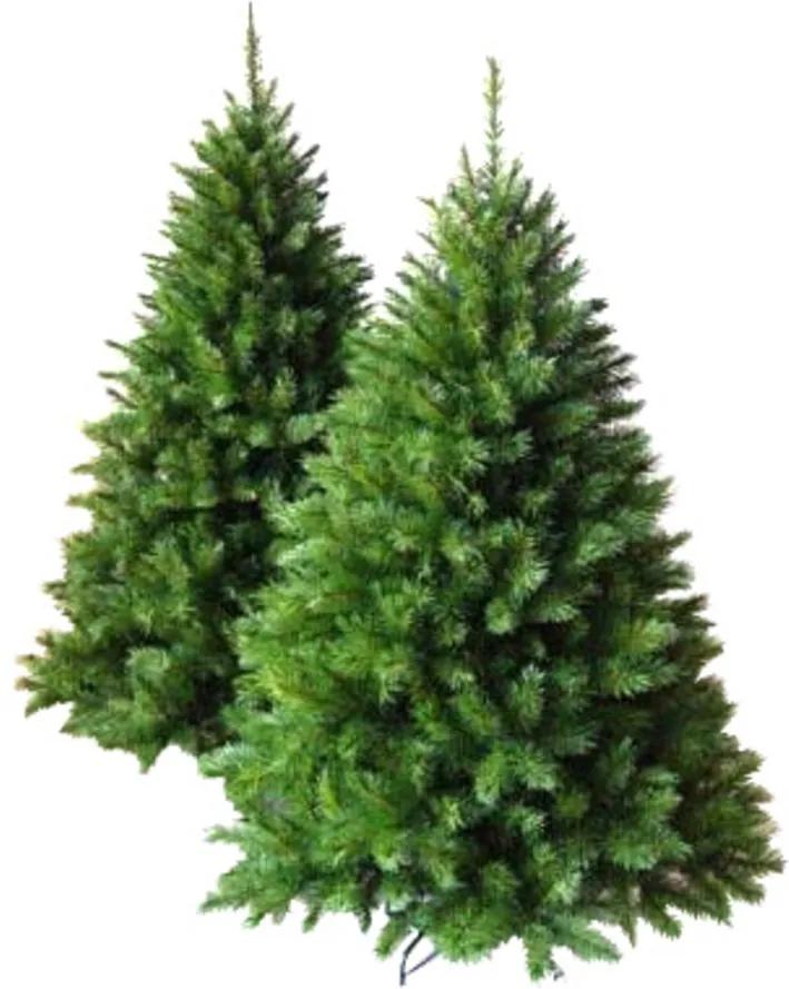 Brad de Crăciun 'Oregon Pine', 300 cm