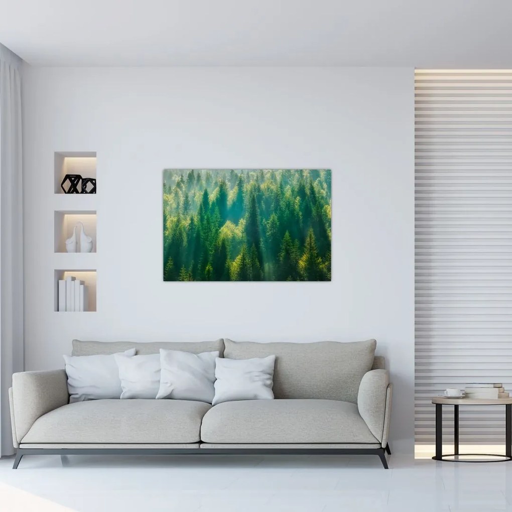 Tablou - Pădurea de brazi (90x60 cm)