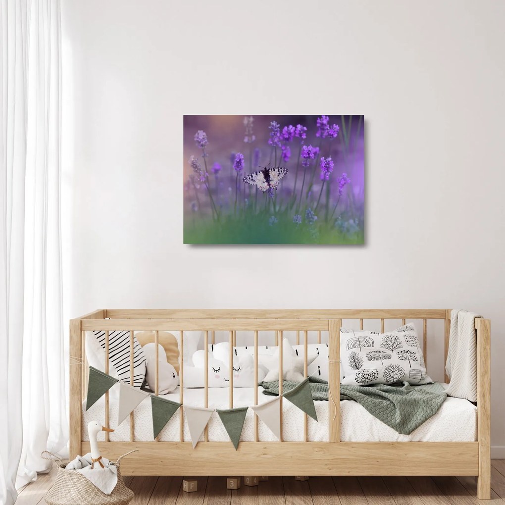 Tablou pe sticlă - fluture în lavandă (70x50 cm)