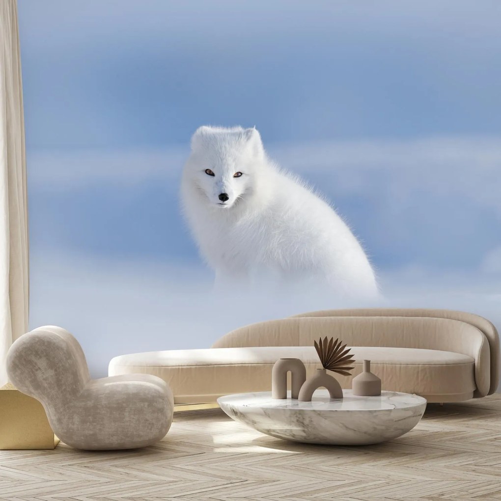 Fototapet - Vulpe polară (147x102 cm)