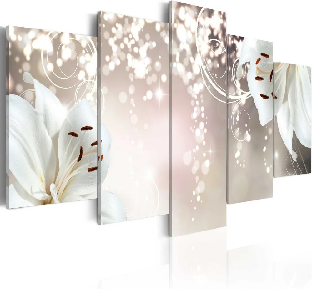 Tablou Bimago - Magic white 100x50 cm