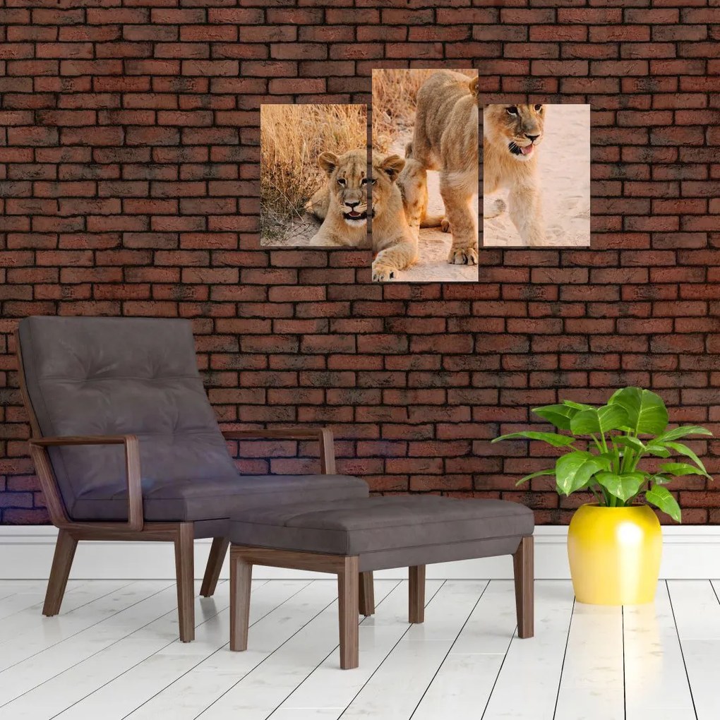 Tablou cu pui de leu (90x60 cm)