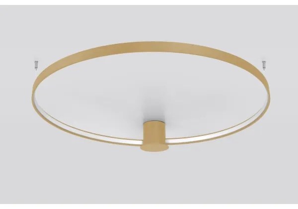 Thoro TH.223 - Plafonieră LED RIO, 30W, 230V, CRI 98, 4000K, Ø 55 cm, auriu