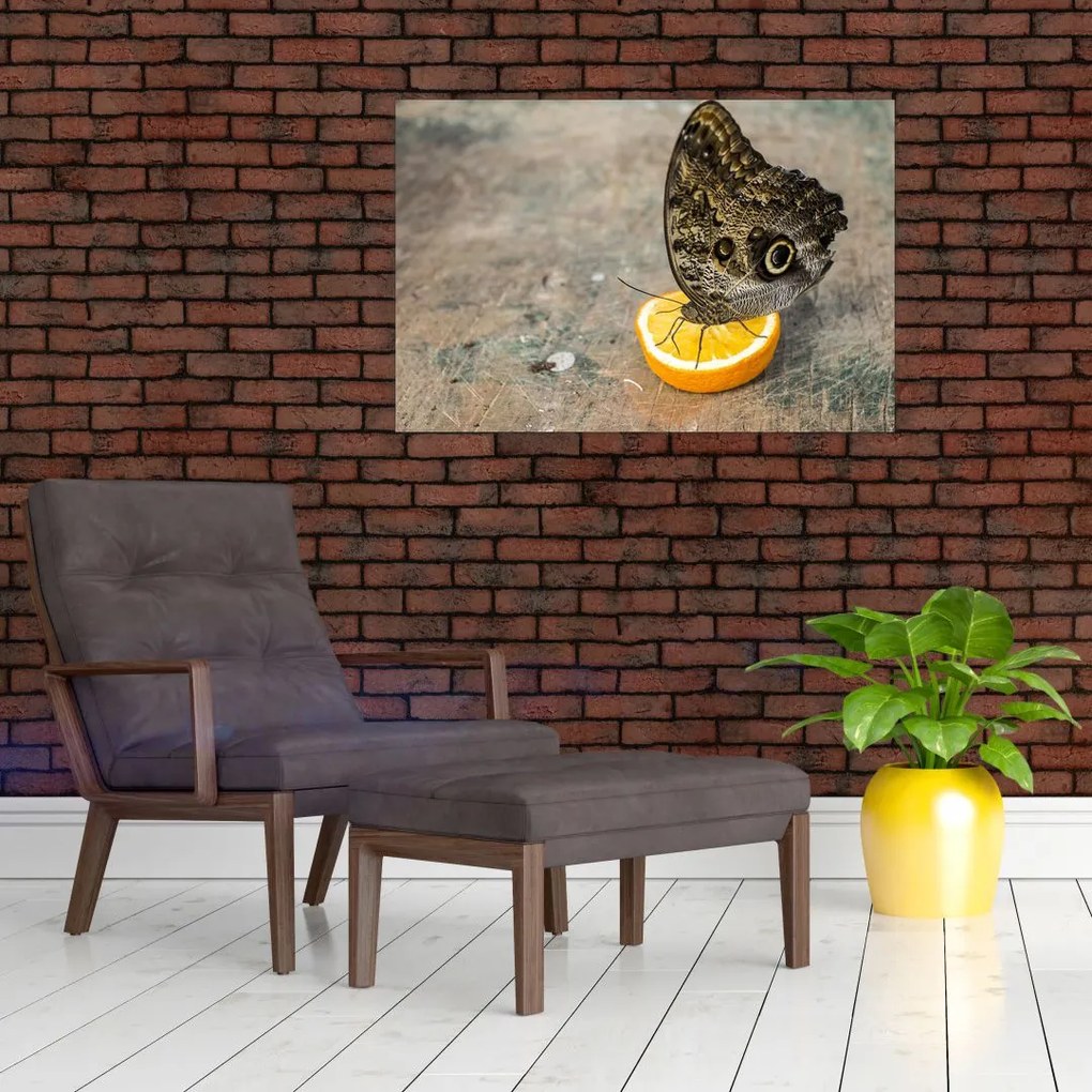 Tablou cu fluturi (90x60 cm)