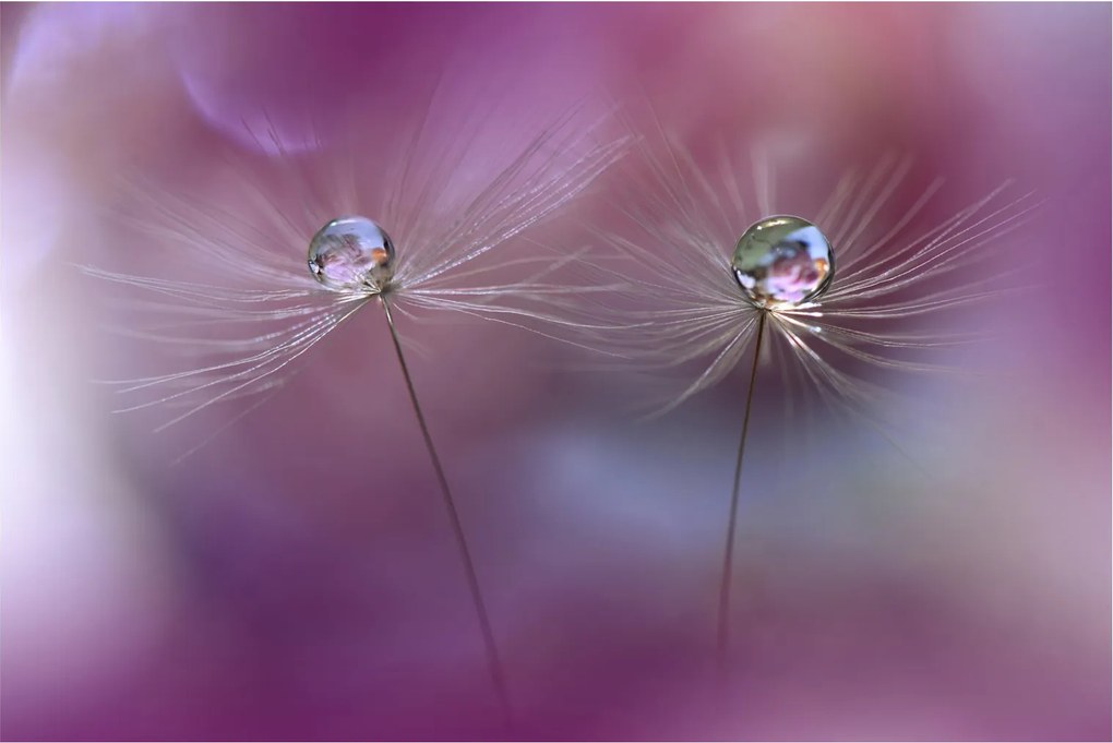 Tablou cu picături pe puf (90x60 cm)