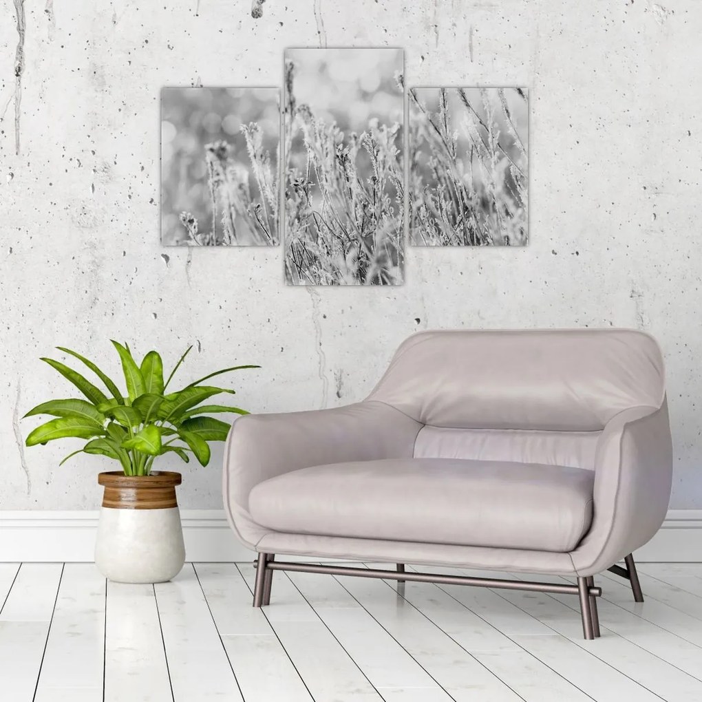 Tablou - Iarna rece (90x60 cm)