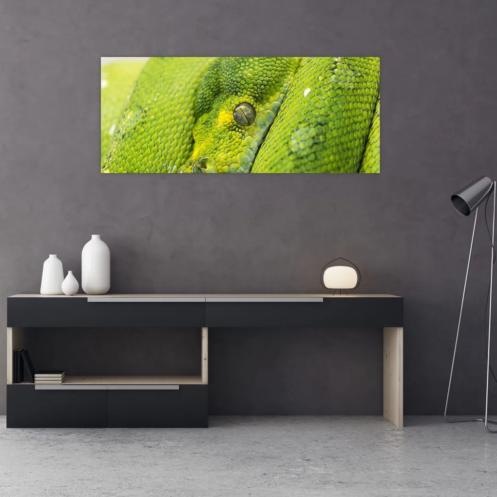 Tablou cu șarpe (120x50 cm)