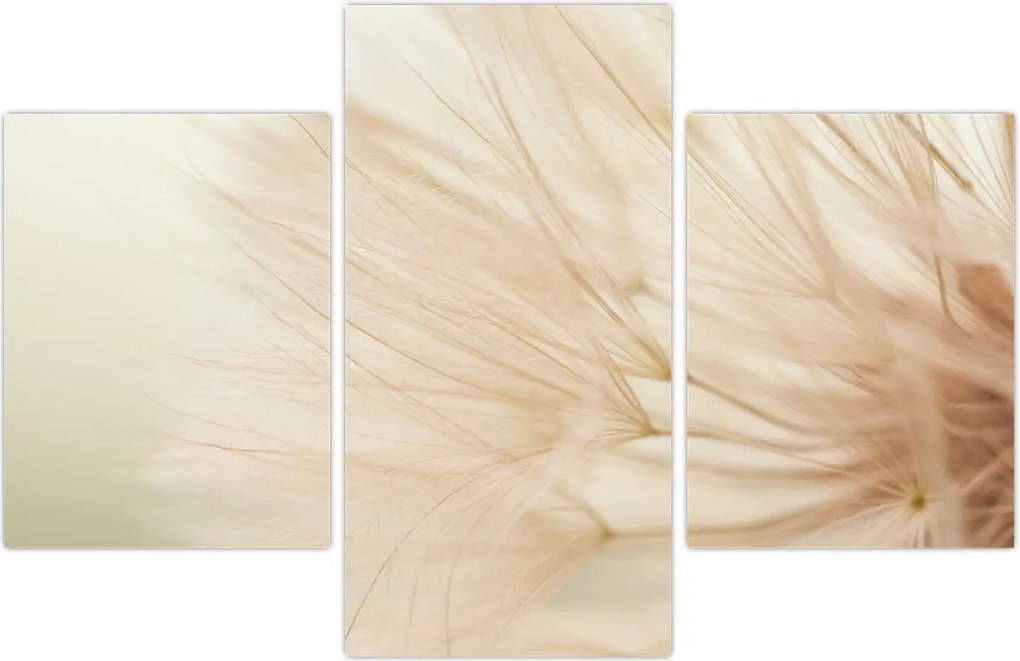 Tablou - Detaliu flori (90x60 cm)