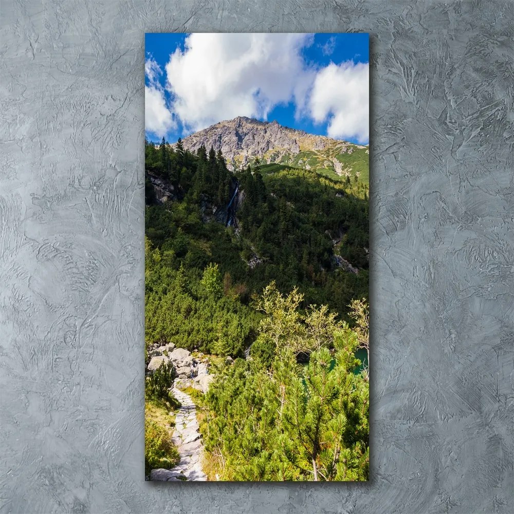 Tablou pe pe sticlă Marine ochi Tatry