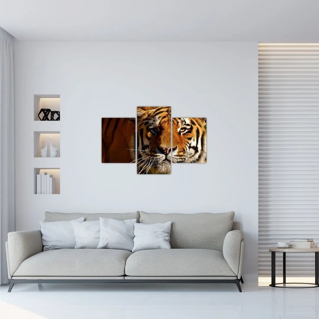 Tablou cu tigrul (90x60 cm)