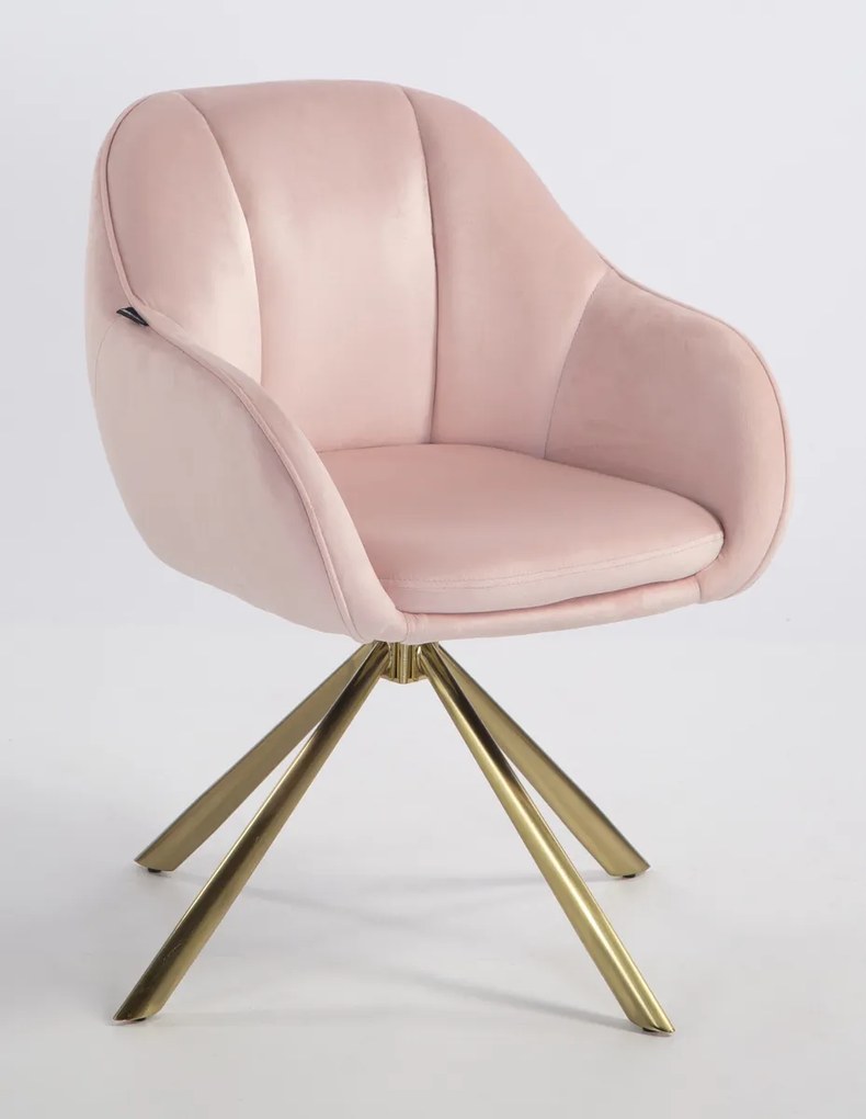 HR2055 BAZĂ STEA Scaun Roz Pudra din Catifea cu Bază Aurie