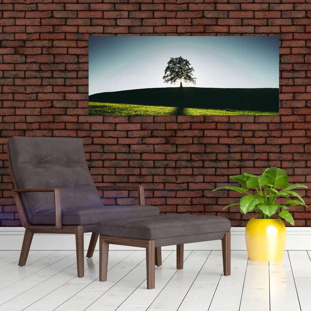 Tablou cu natura - copac (120x50 cm)