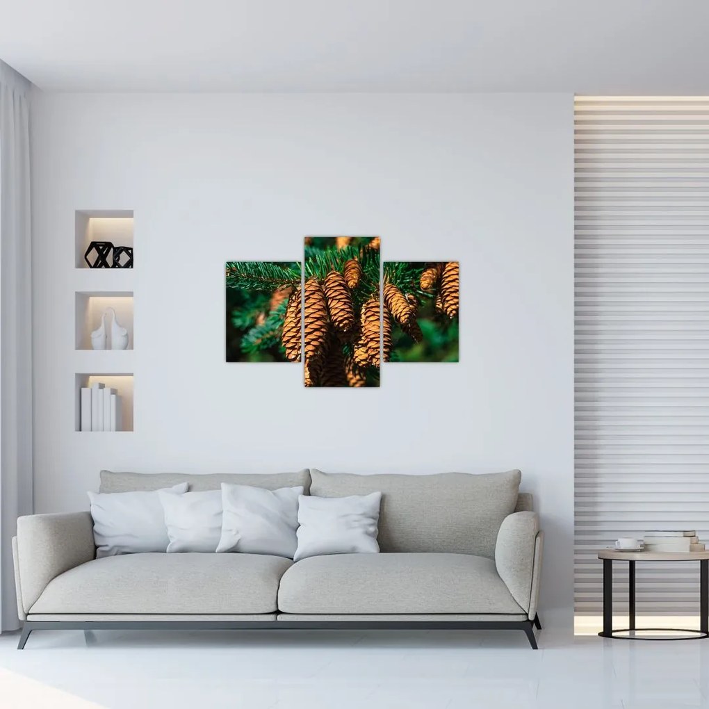 Tablou cu con de brad (90x60 cm)