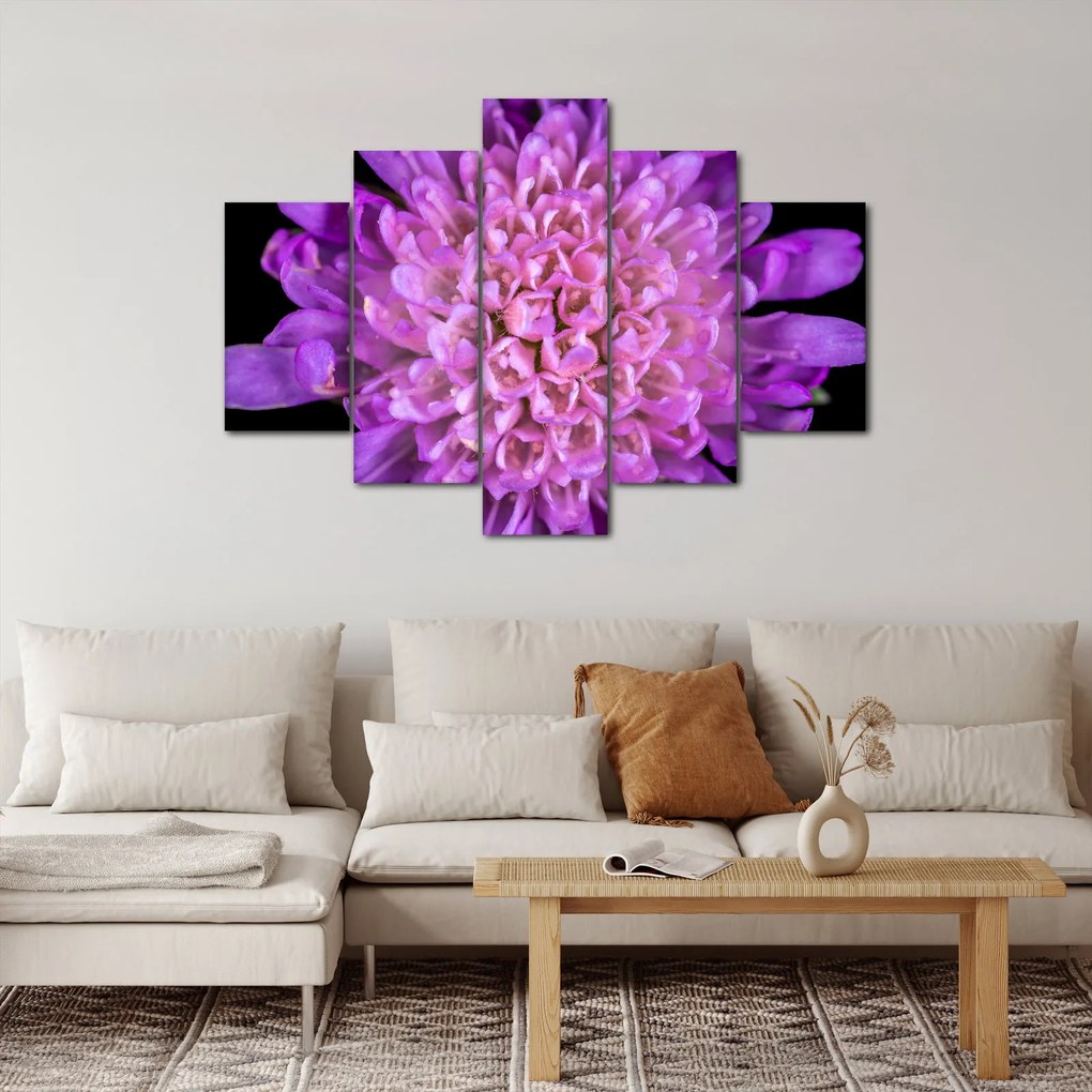 Tablou detailat cu floare (150x105 cm)