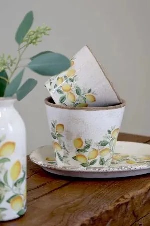 Ghiveci Limone Blossom cu lămâi și flori