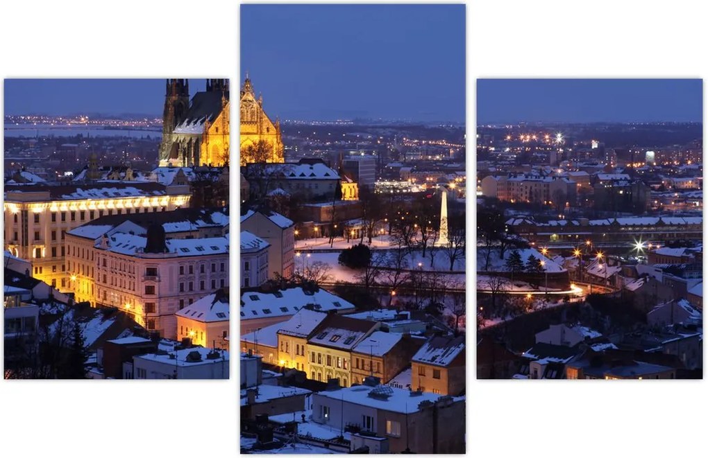 Tablou - Catedrala Sf. Peter și Paul, Brno, Republica Cehă (90x60 cm)