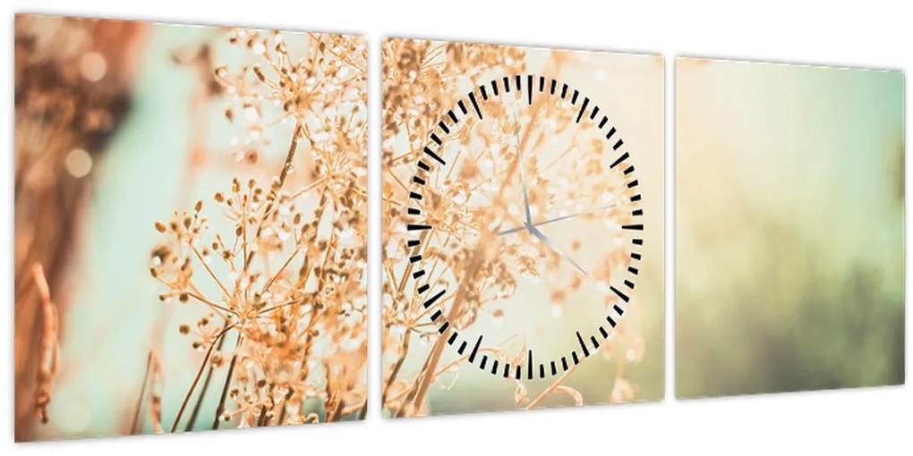 Tablou - Plante după ploaie (cu ceas) (90x30 cm)