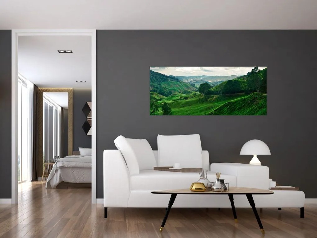 Tablou Plantații de ceai - Malaezia (120x50 cm)