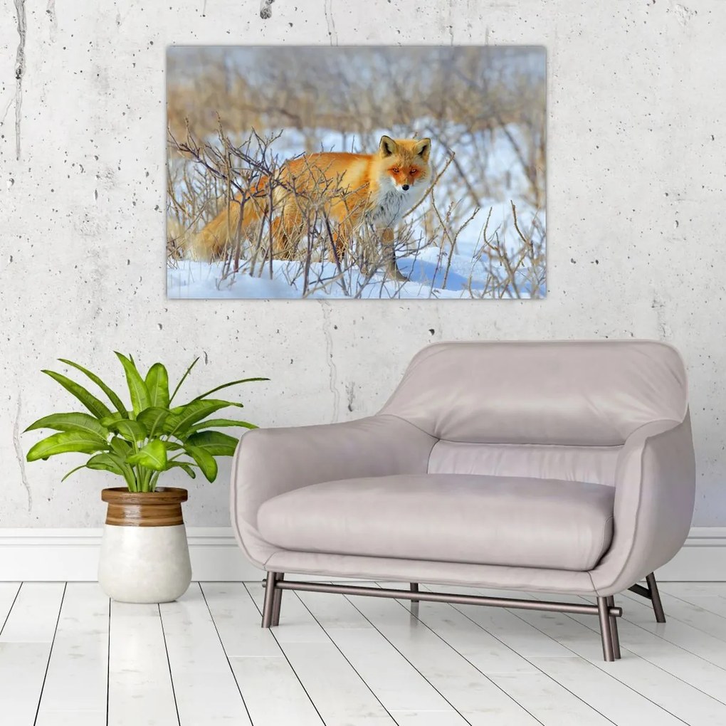 Tablou - Vulpe (90x60 cm)