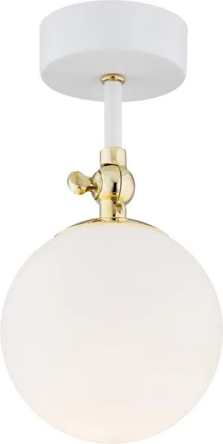 Argon 4002 - Plafonieră aplicată pentru baie LATINA 1xE14/7W/230V IP44 alb/auriu