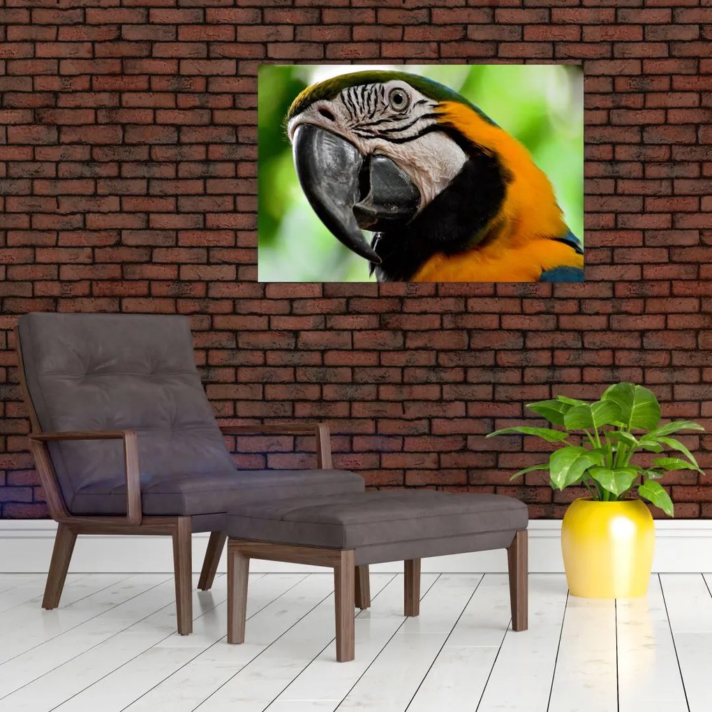 Tablou cu papagal (90x60 cm)
