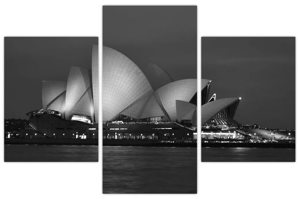 Tablou cu Opera din Sydney (90x60 cm)
