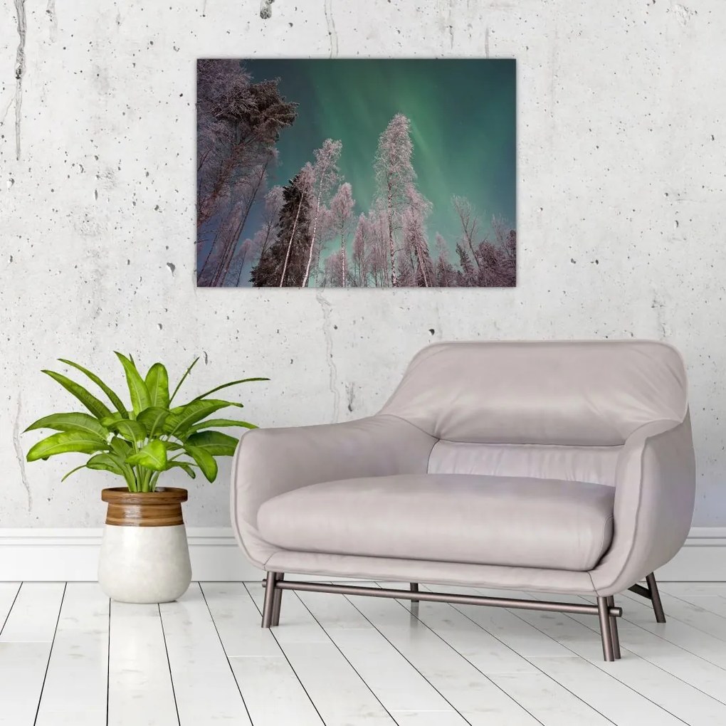 Tablou cu aurora borealis deasupra pomilor înghețați (70x50 cm)