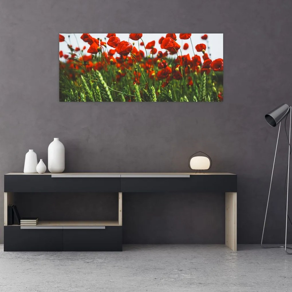 Tablou - Maci în vânt (120x50 cm)