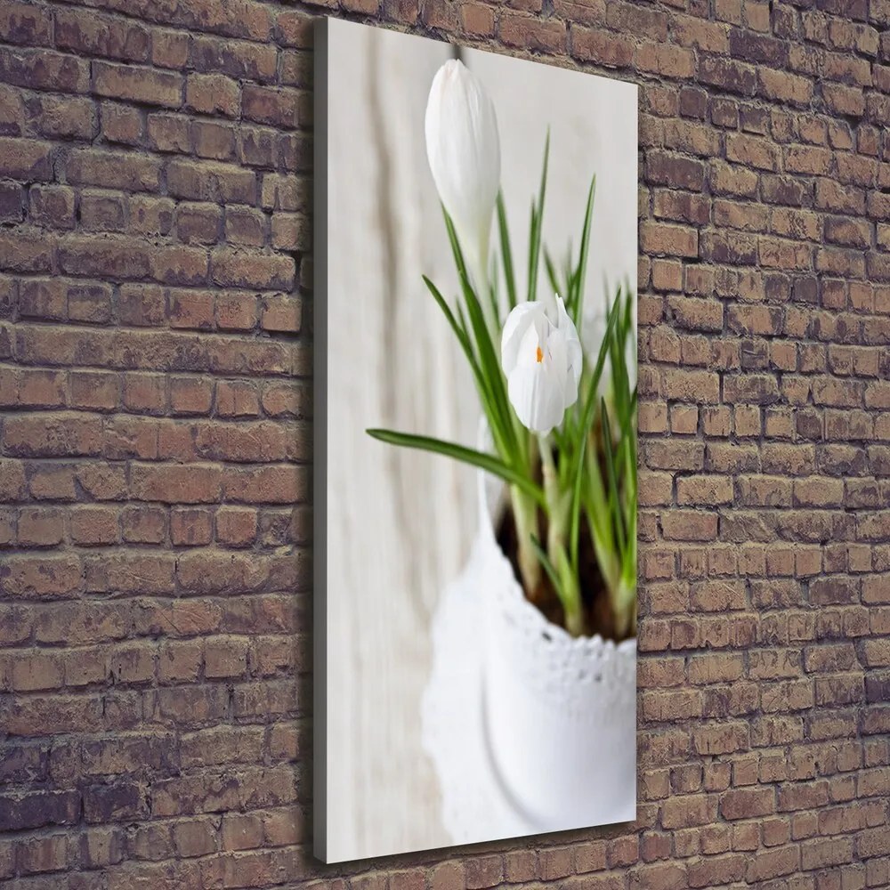 Imprimare tablou canvas Șofran alb