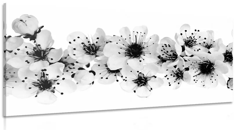 Tablou flori de cires alb-negru