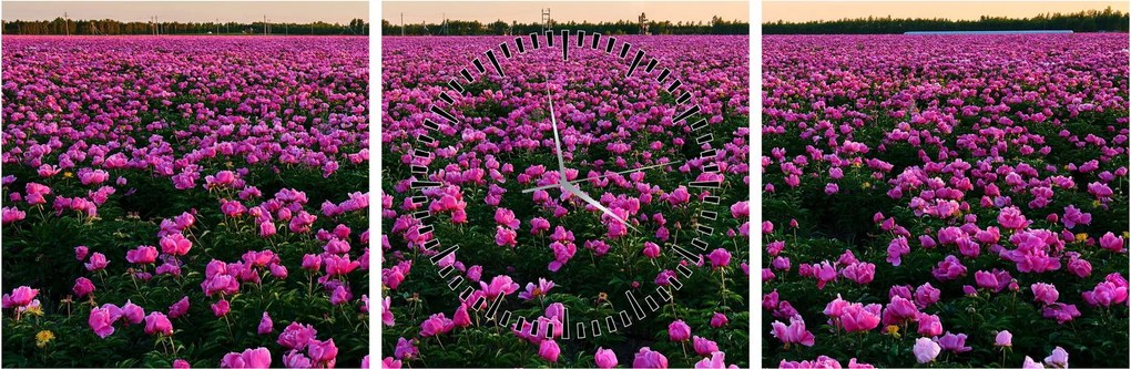 Tablou - Pajiștea cu lalele violet (cu ceas) (90x30 cm)