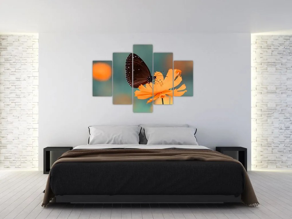 Tablou - fluture pe o floare portocalie (150x105 cm)